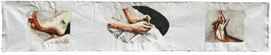 Programa de Exposições- Anap 5