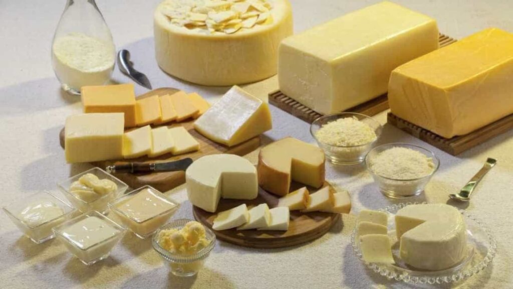 Cesta de derivados lácteos apresenta redução de preço em junho Derivados lácteos 4