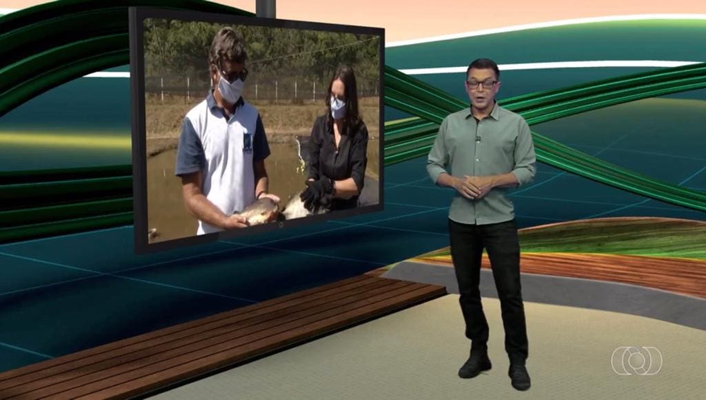 Emater- Jornal do Campo