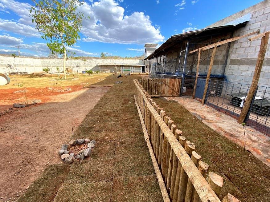 Ambiente do projeto descompressão