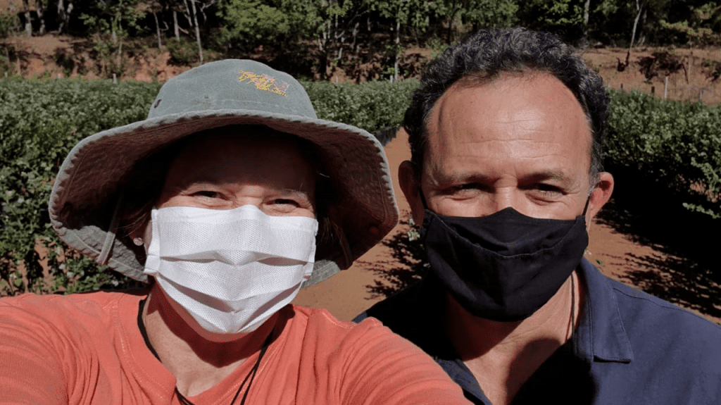 Produtores de Mirtilo