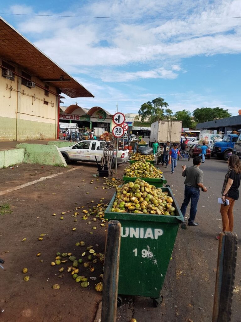 Ceasa quer transformar lixo em soluções sustentáveis 1