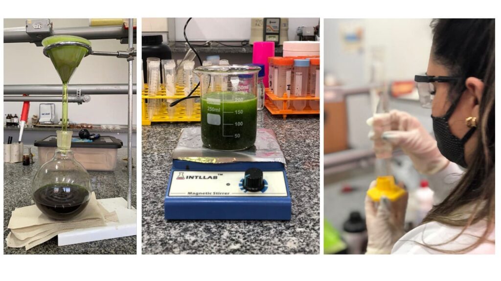 Etapas-para-obtencao-do-extrato-e-sintese-das-nanoparticulas-2