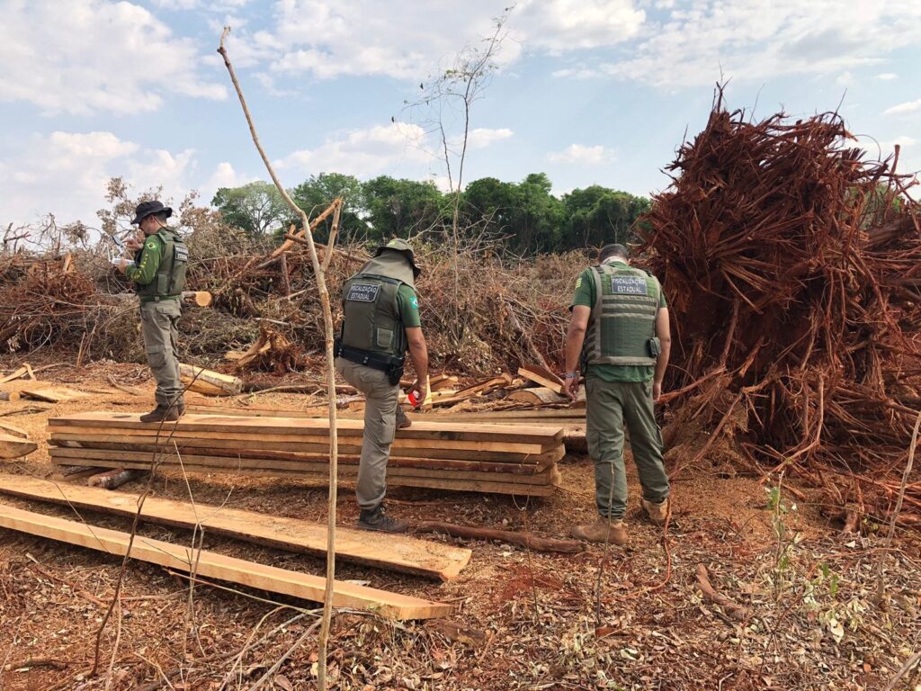 Fiscalização da Semad interrompe desmatamento de árvores raras do Cerrado, em Itaguari