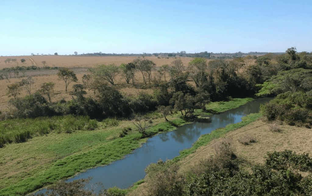 Meia Ponte- Nível 3