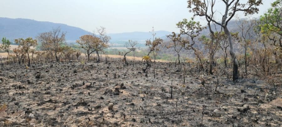 Fazendeiro é preso por incêndio de grande proporção em Quirinópolis
