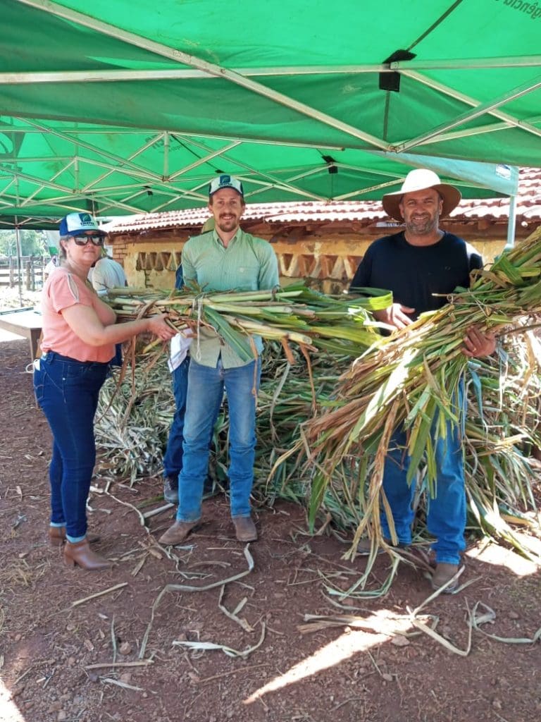 EMATER-DIA DE CAMPO- 2A