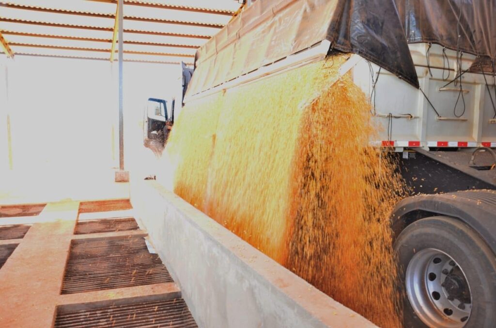 Goiás registra superávit de US$ 769 milhões na balança comercial em julho