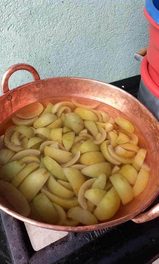 EMATER FRUTAS NOVA VENEZA 3