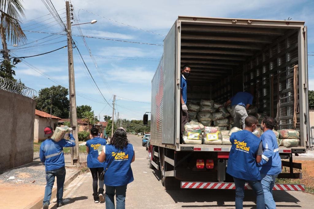 OVG 4 MIL CESTAS BASICAS 1