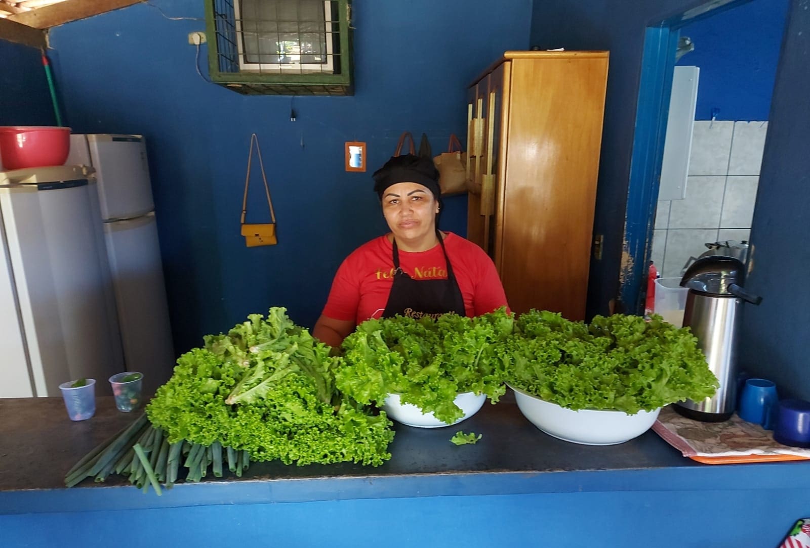 EMATER DISTRIBUICAO DE ALIMENTOS