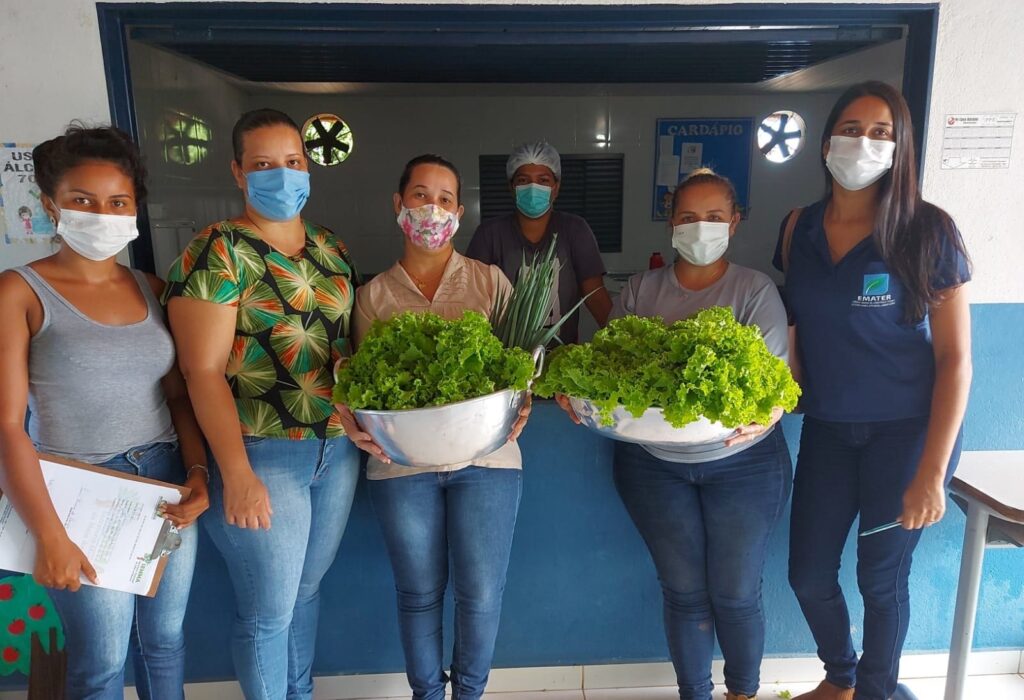 EMATER DISTRIBUICAO DE ALIMENTOS 2