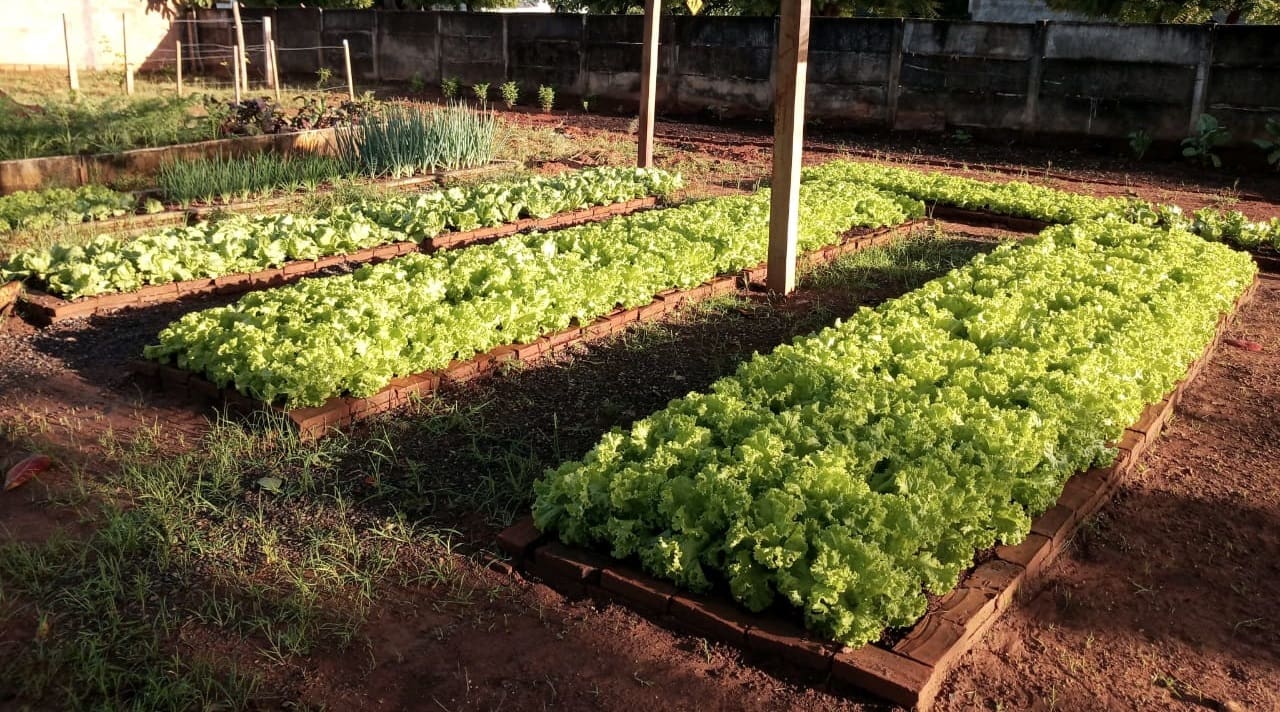 EMATER DISTRIBUICAO DE ALIMENTOS 3