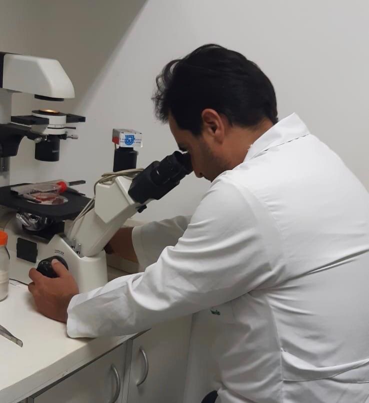 FAPEG-NANOPLASTICO 1