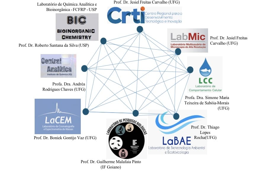 FAPEG-NANOPLASTICO 4