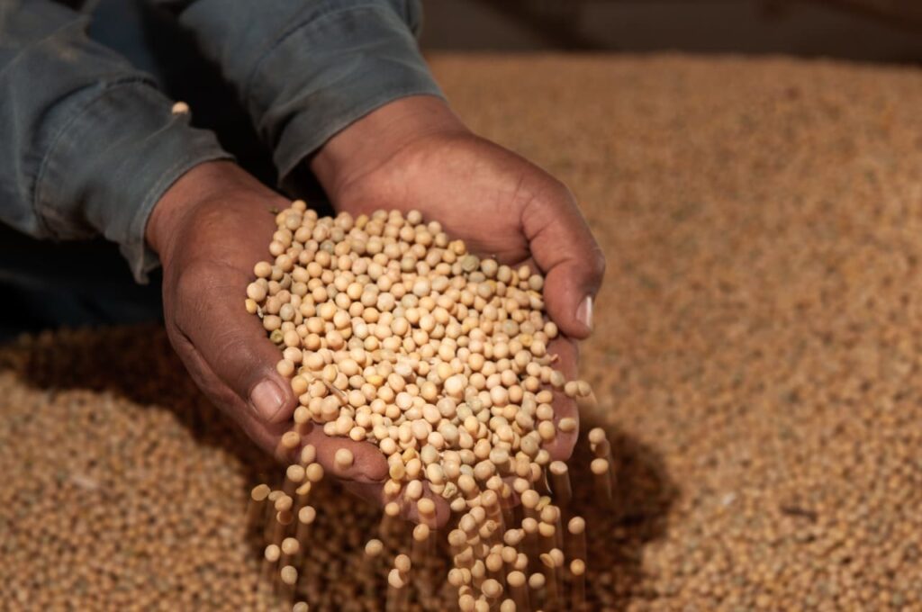 PIB goiano cresce 7,7% no acumulado do ano