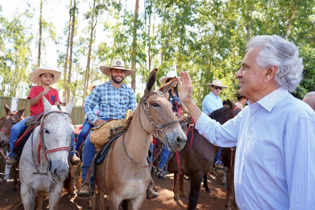 CAIADO DOVERLANDIA 2