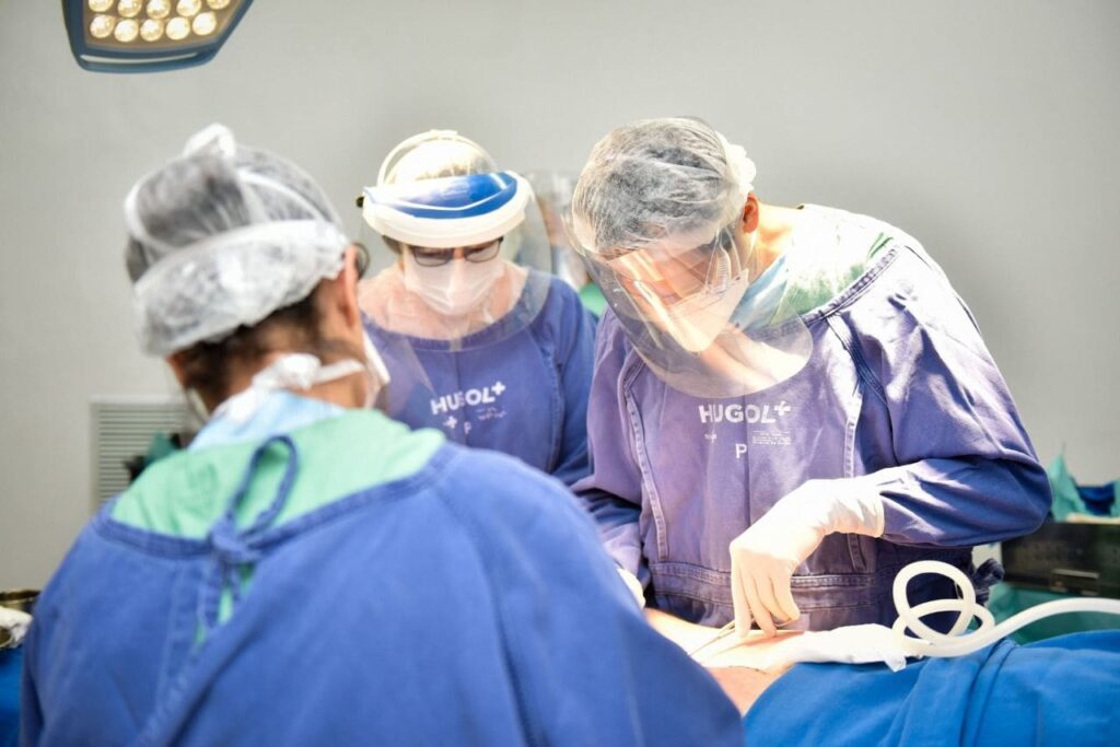 Setembro Verde: HCN se destaca como referência em captação de órgãos para doação