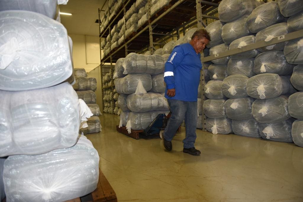 OVG-peças de roupas