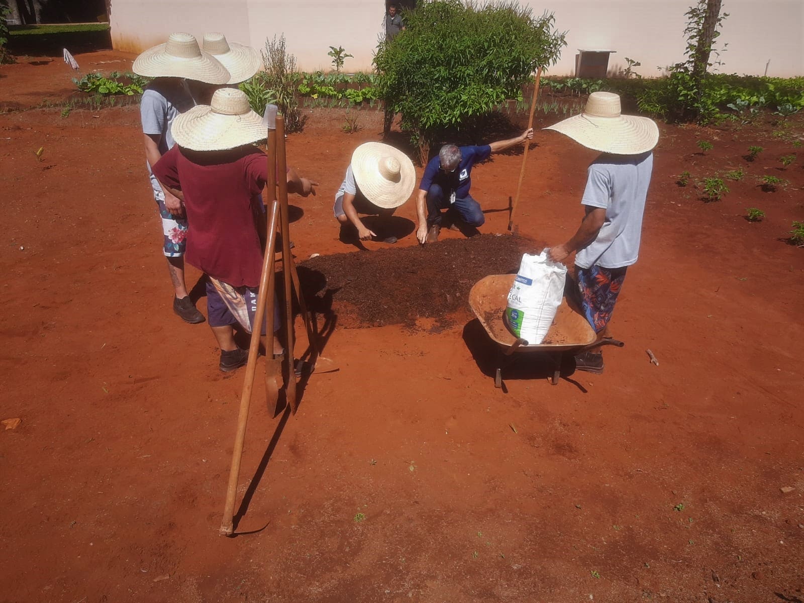 Emater atua para reinserção de adolescentes que cumprem medidas socioeducativas 