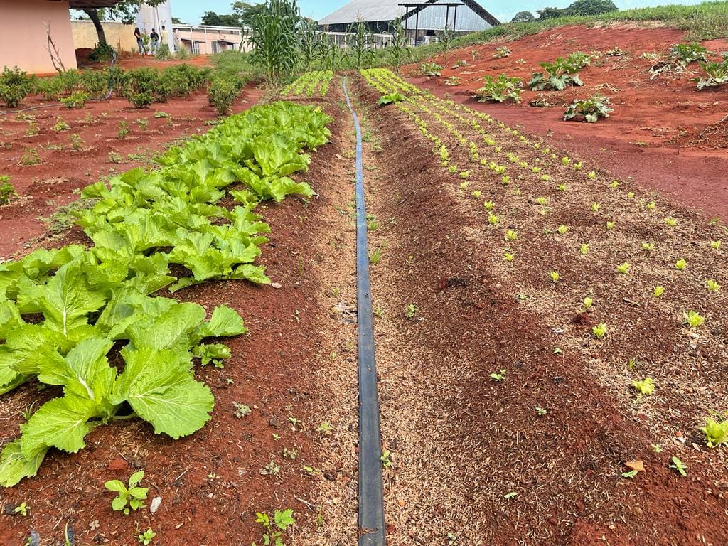Emater atua para reinserção de adolescentes que cumprem medidas socioeducativas