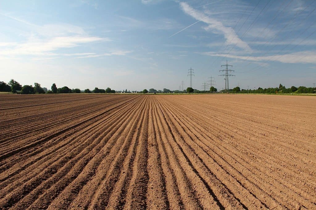 Área sem plantação_vazio sanitário da soja em Goiás
