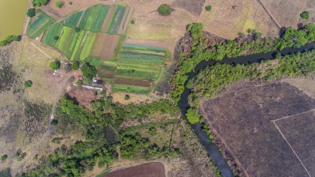 Governo divulga plano para zerar emissões de carbono até 2050