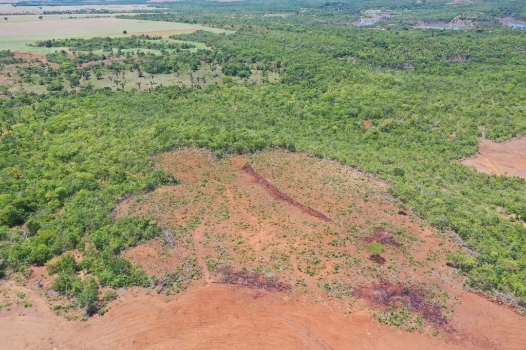 Semad realiza dois flagrantes simultâneos de desmatamento