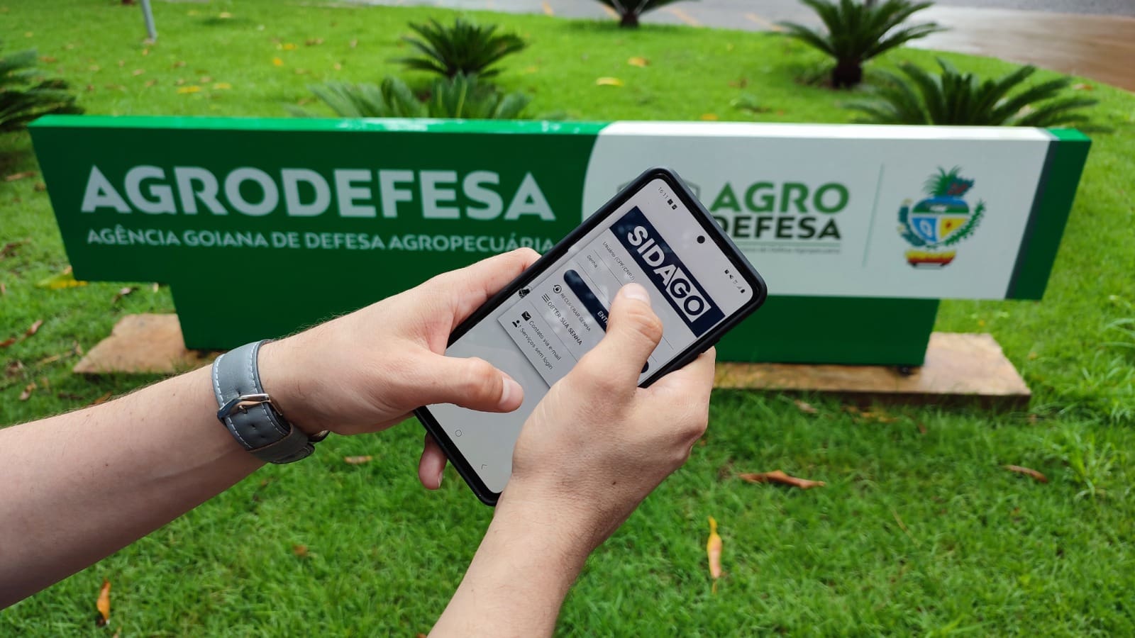 Agrodefesa orienta pecuaristas sobre prazos e novas regras para declaração de rebanho