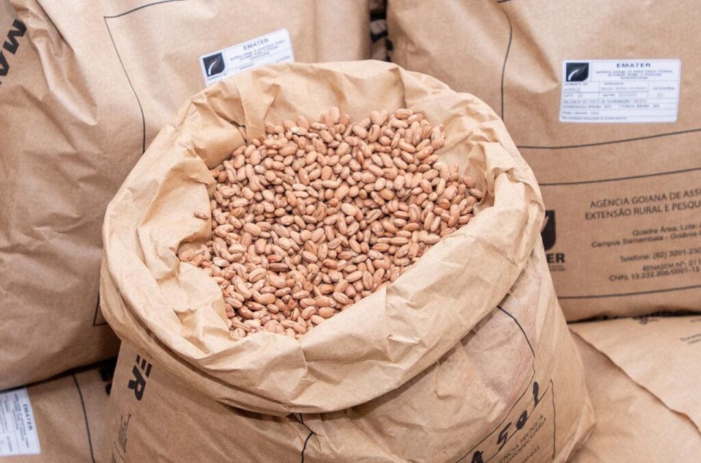Produção goiana de grãos deve avançar 14,2% na safra 2024/2025 - feijão