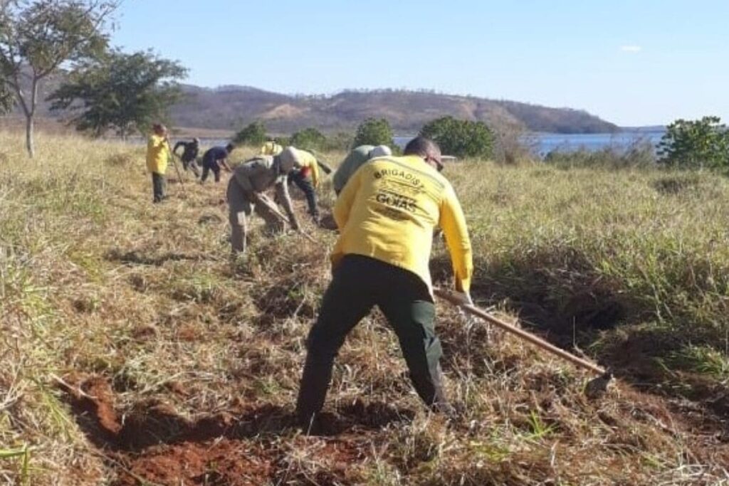 Prazo para solicitar queima controlada em Goiás vai até 30 de junho