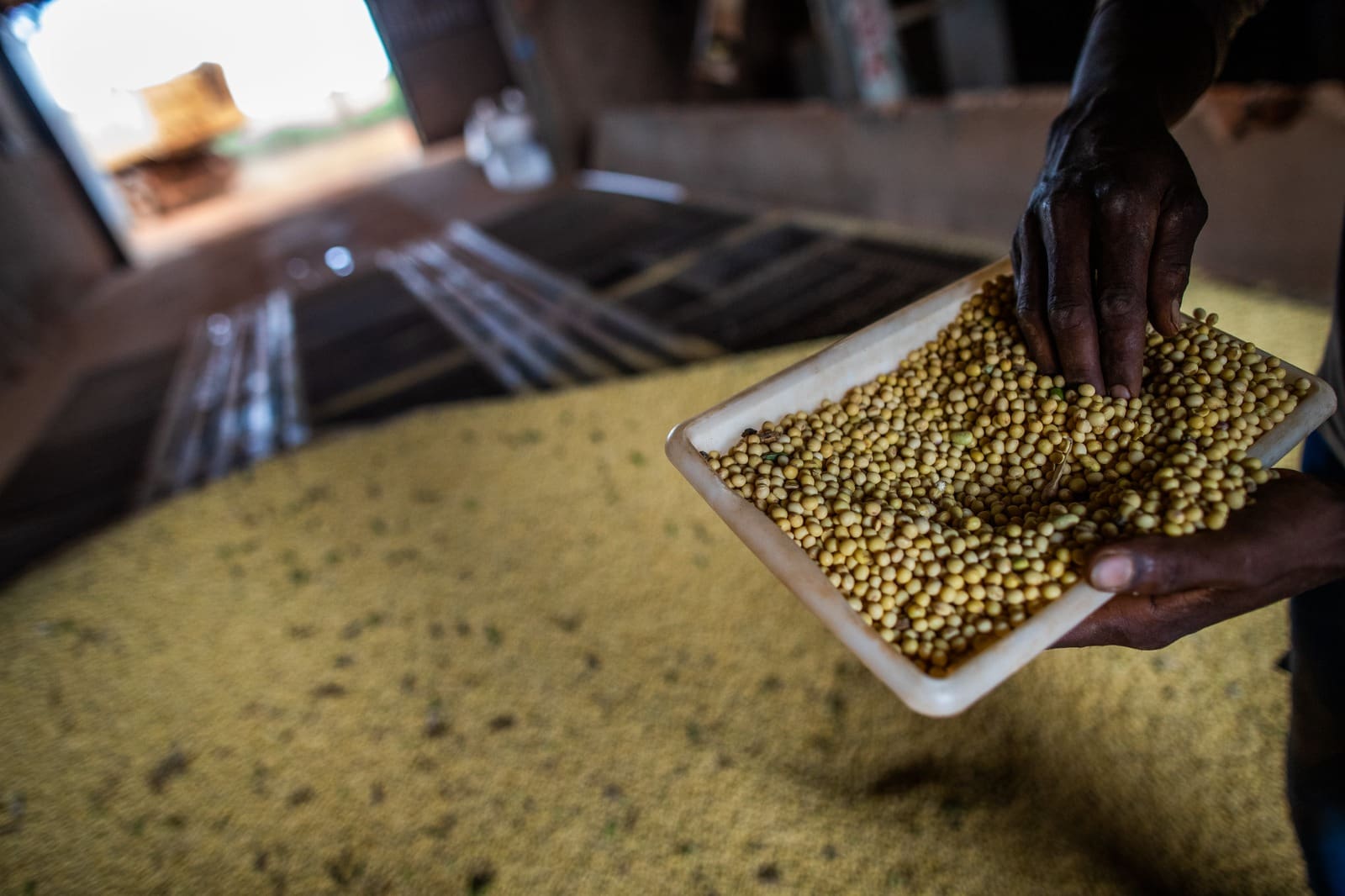 Goiás é líder no Centro-Oeste em nº de unidades locais de empresas industriais