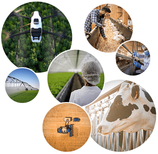 Produção de alimentos seguros é foco da 8ª Conferência Nacional sobre Defesa Agropecuária