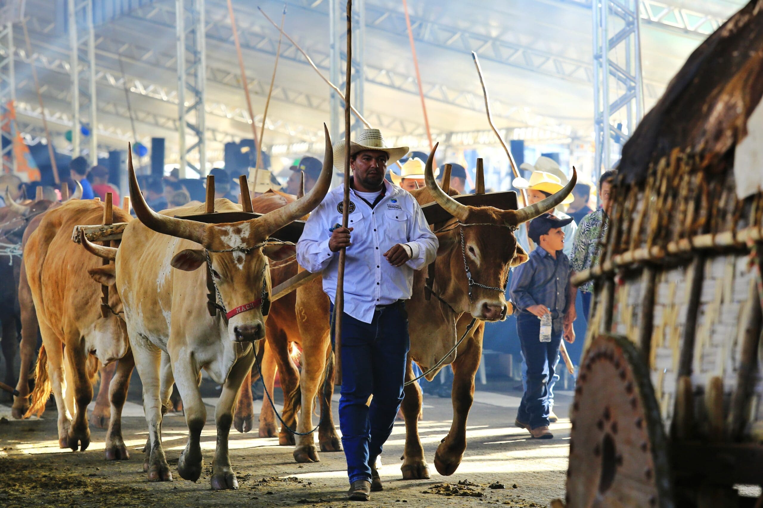 Ato de transferência foi assinado durante a Romaria dos Carros de Boi, Cavaleiros e Muladeiros