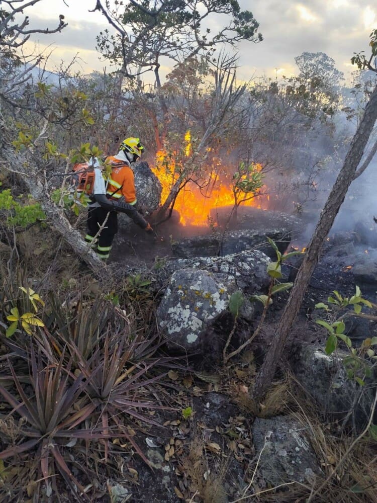 Conferência Estadual do Meio Ambiente