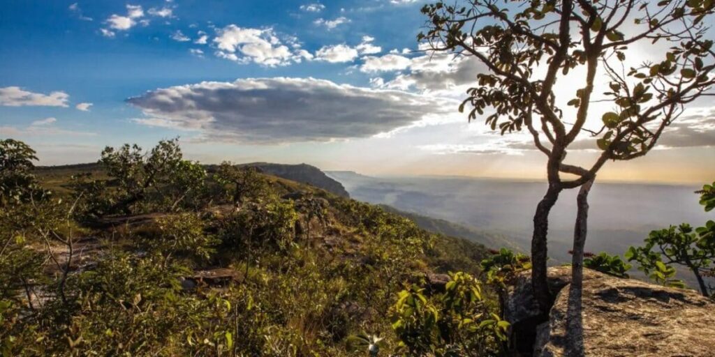 Conferência Estadual do Meio Ambiente