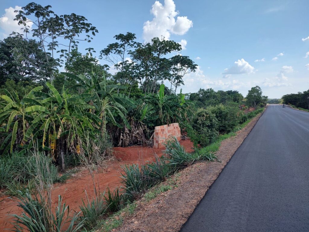 Agrodefesa alerta para riscos do cultivo de bananeiras em faixas de domínio de rodovias