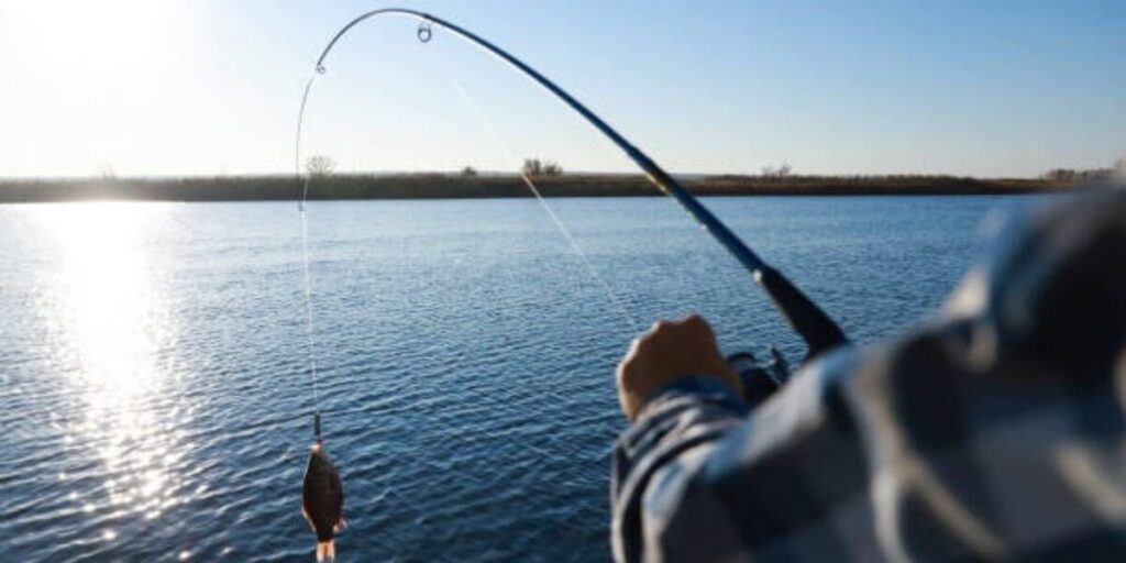 termina período de defeso em Goiás