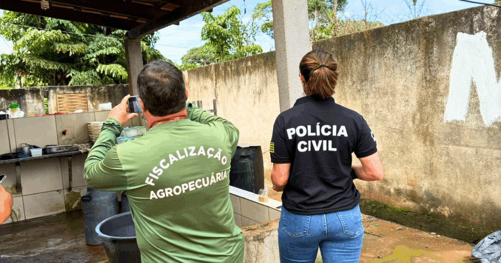 Polícia apreende 100 quilos de queijo em laticínio clandestino