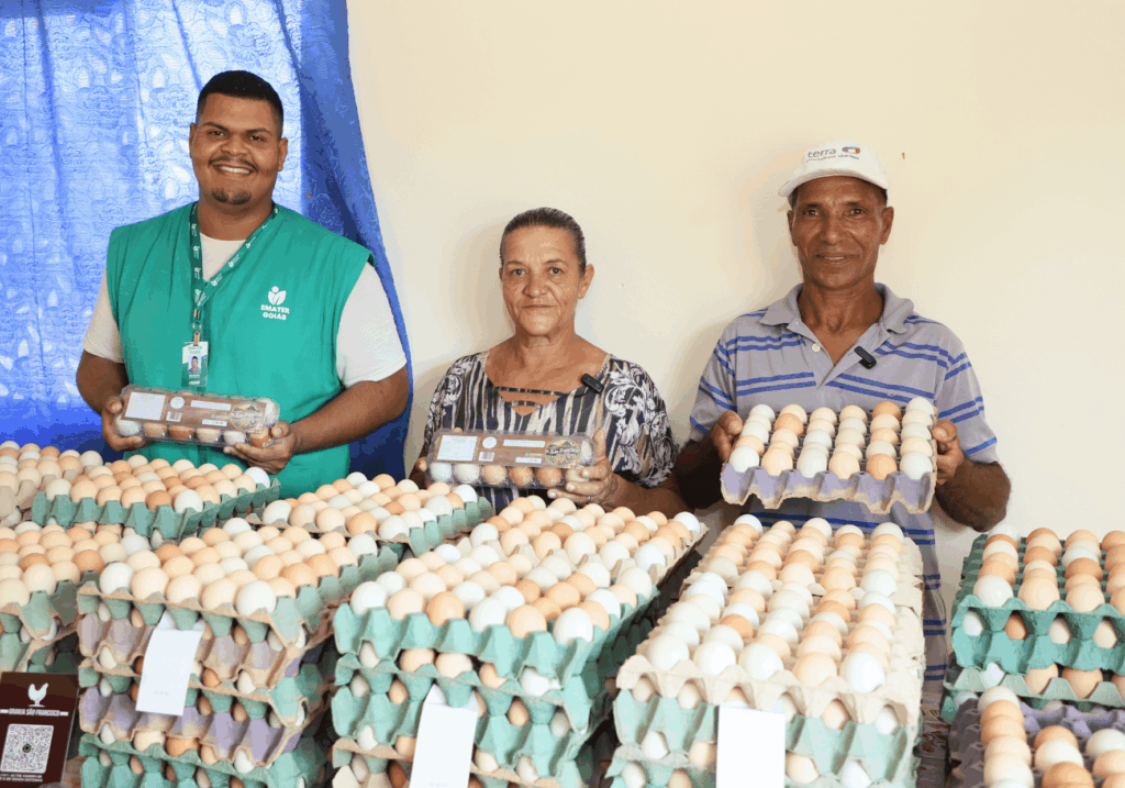 Casal cria galinhas poedeiras e mostra ovos da produção