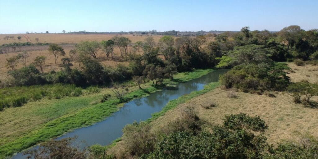 Goiás realiza Semana do Meio Ambiente nesta quarta e quinta