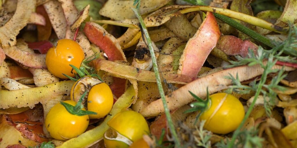 Meio Ambiente lança Guia de Compostagem para municípios