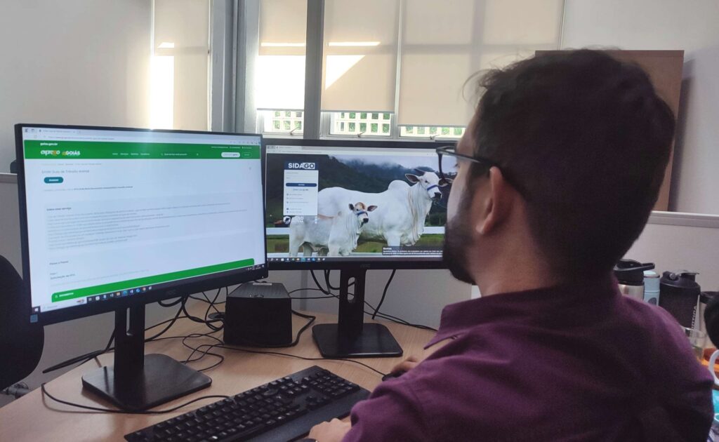 declaração é efetuada duas vezes por ano, sendo a primeira nos meses de maio e junho e a segunda de novembro a dezembro