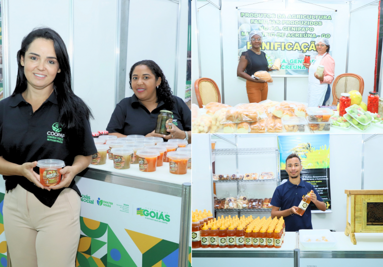 Emater reúne produtores rurais na Feira da Agricultura Familiar na Tecnoshow