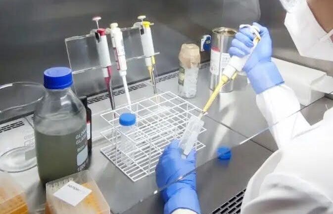 Divulgado resultado do edital do Programa de Desenvolvimento Científico e Tecnológico Regional -Pesquisadores goianos