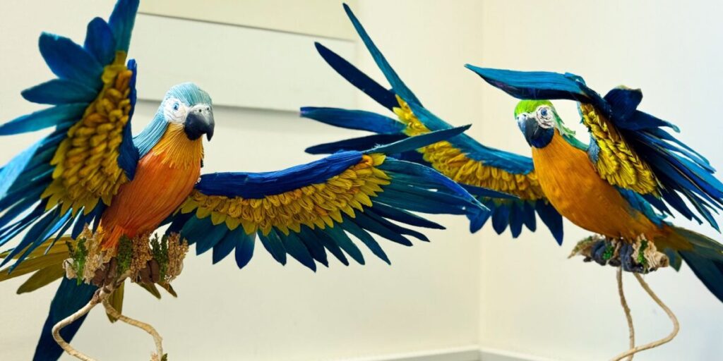 Inscrições abertas ao Prêmio Goiás Sustentável