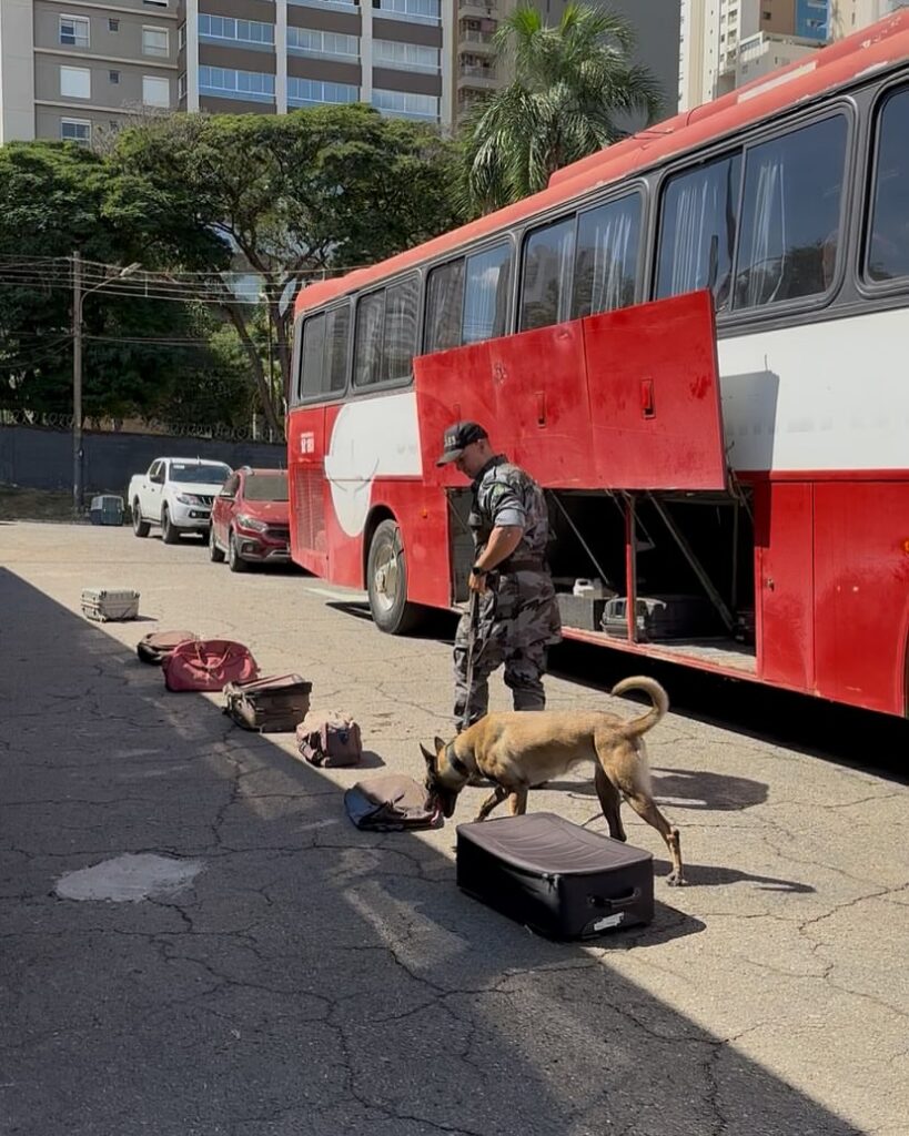 BPCães realiza teste de certificação para os farejadores