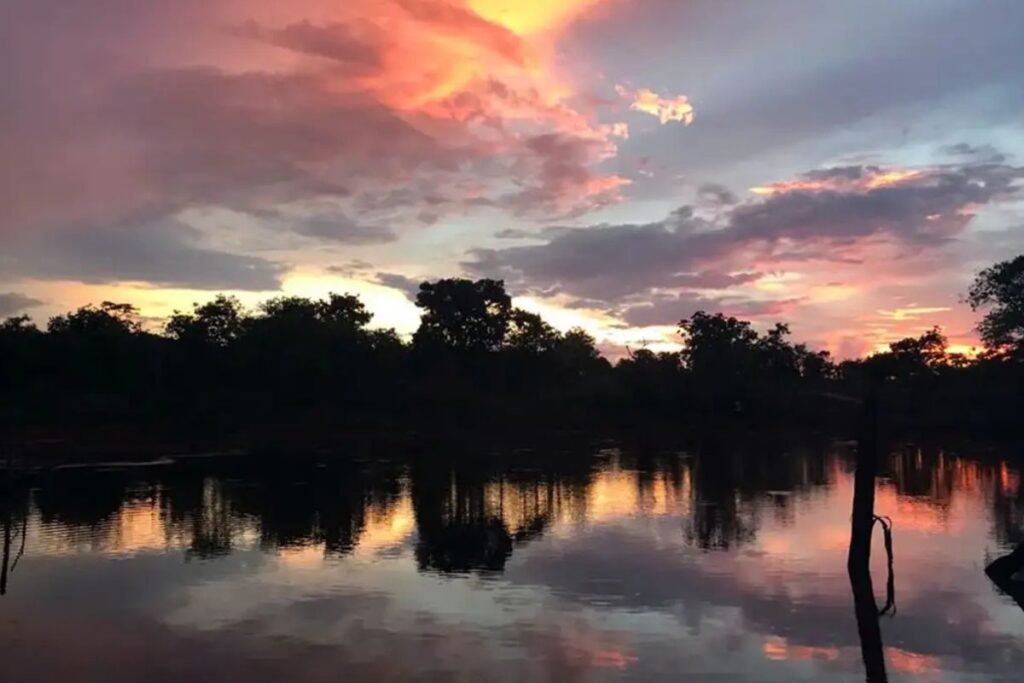 Semad divulga resultado preliminar do PSA Cerrado em Pé