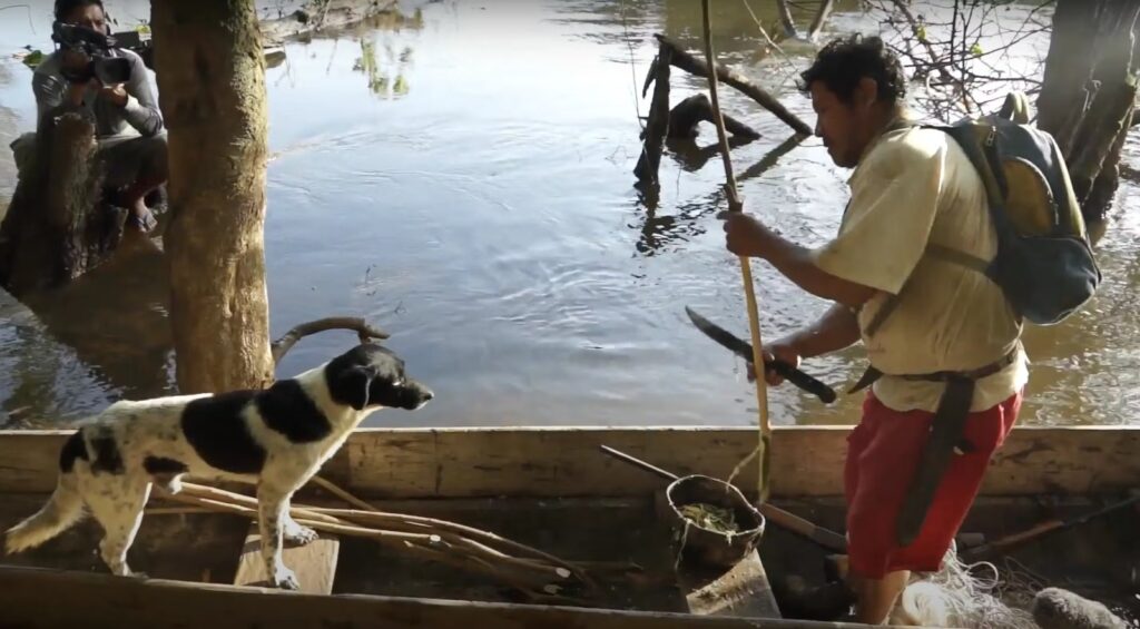 Filmes do Fica serão exibidos no Canal Saúde