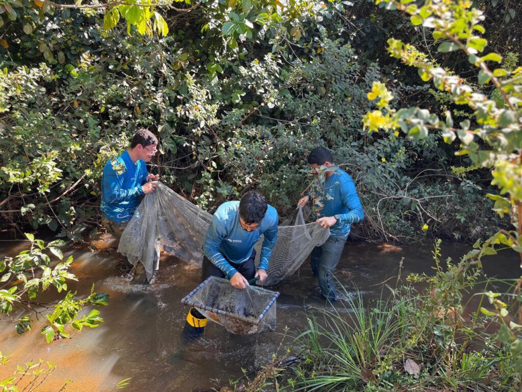 Pesquisadores da Rede HidroCerrado trabalham no rio